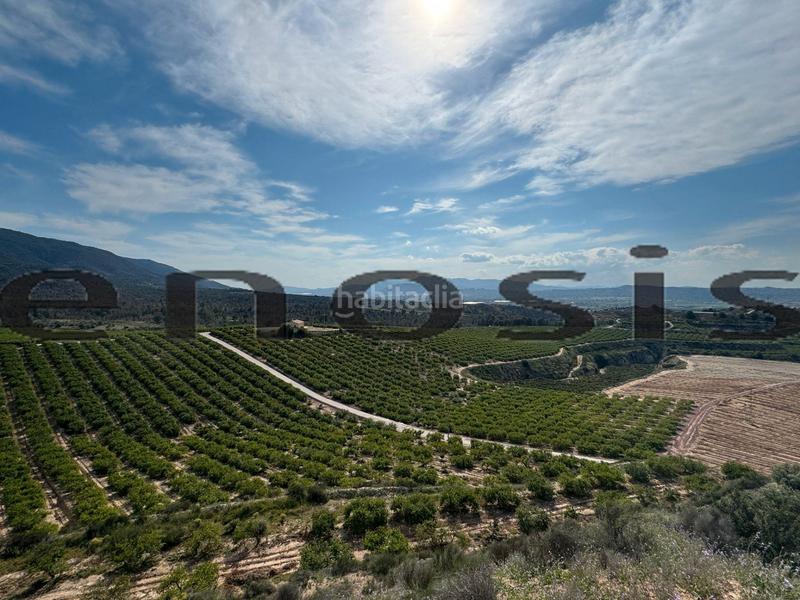 Foto 5d783d04-e44d-42e9-b959-2392729f8cdb. Landgut in Albatalia Murcia