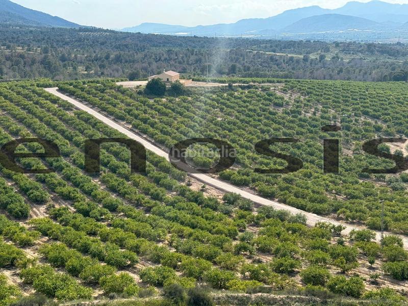 Foto 685bb44e-b230-4eb8-8c94-0f1f03c10641. Landgut in Albatalia Murcia