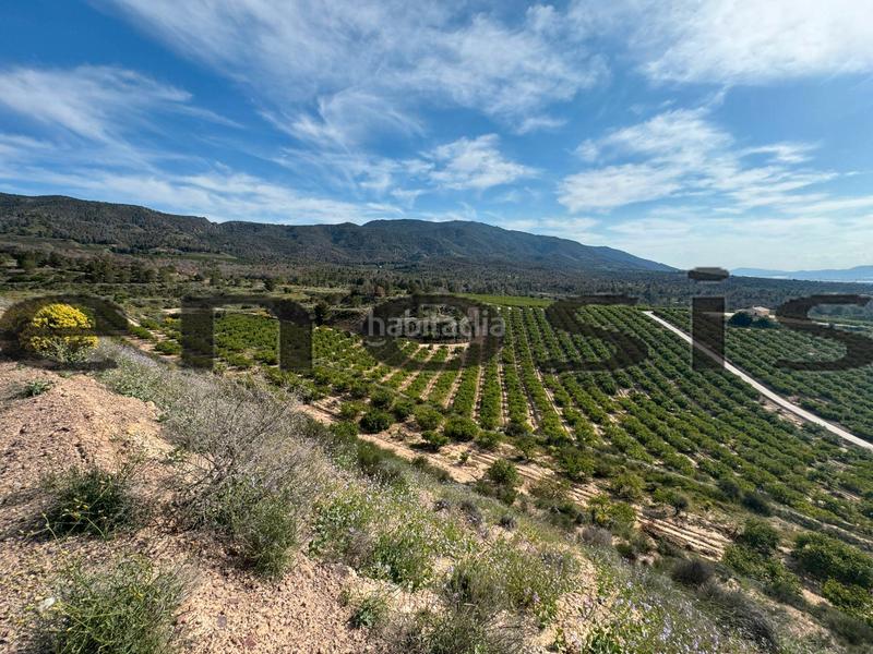 Foto 6fd2c845-c8ee-478a-9a79-9cb8a930624e. Landgut in Albatalia Murcia