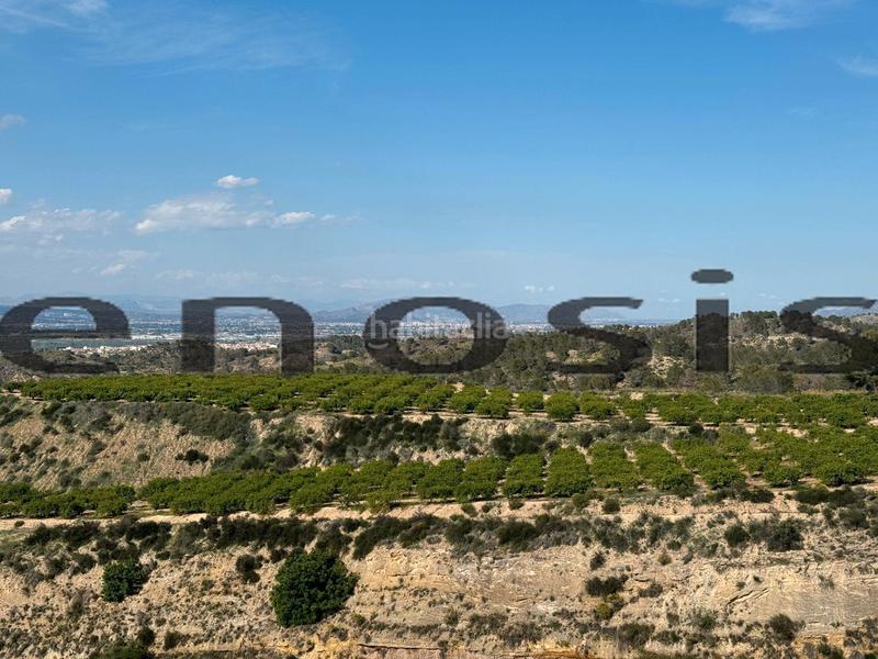 Foto 72196cc4-7fd8-481a-a740-816bb44a499c. Landgut in Albatalia Murcia