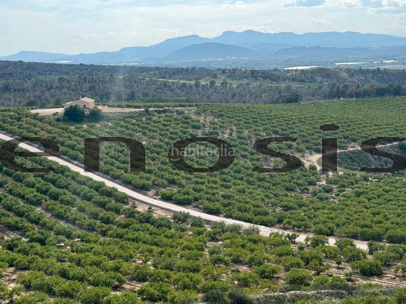 Foto 959995fb-18c8-4406-be61-17b68c1342aa. Landgut in Albatalia Murcia