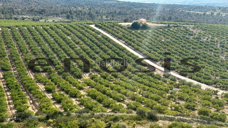 Foto 97405906-69ab-4272-839e-c26f0d603a91. Landgut in Albatalia Murcia