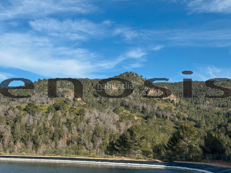 Foto a0068d14-6ff5-4aab-981b-0b432705ddbd. Landgut in Albatalia Murcia