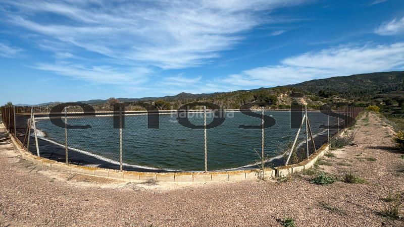 Foto a274263b-5fcb-4bc4-be0e-00e528e568f3. Landgut in Albatalia Murcia