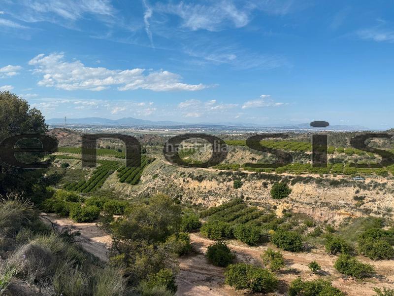 Foto c4958ccd-9fcf-4736-9972-10e929739ae5. Landgut in Albatalia Murcia