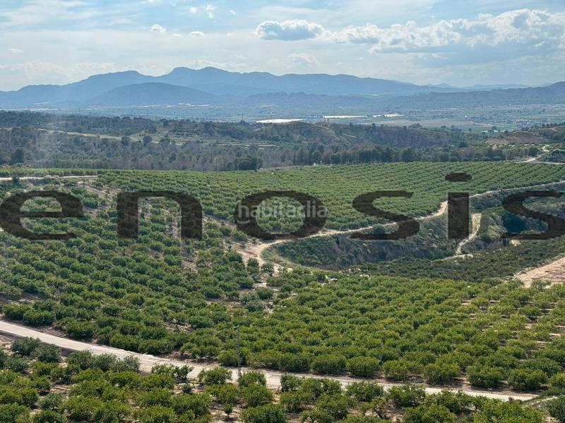 Foto d151df86-0144-4d90-949f-984d4f7db4ca. Landgut in Albatalia Murcia