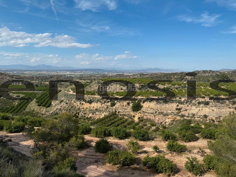 Foto eabcaf12-c32b-4790-93cf-0a87e75719c7. Landgut in Albatalia Murcia