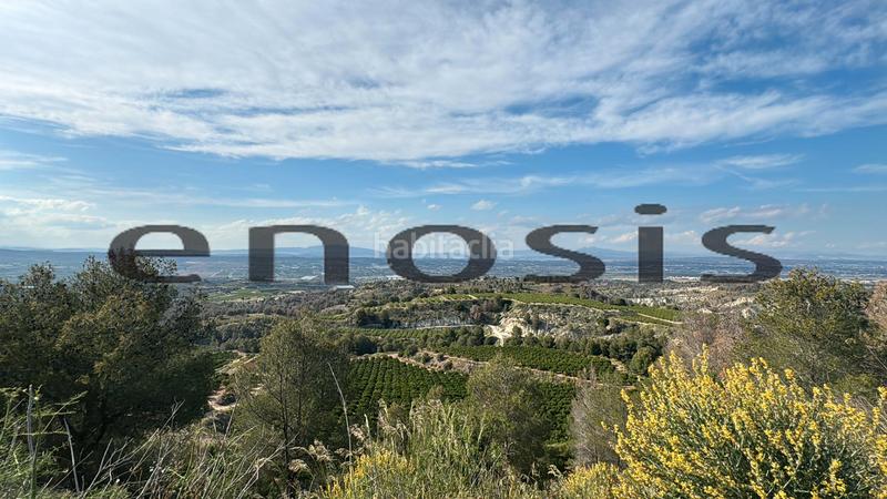 Foto eb5a64a8-2373-43e3-99a1-6fb888db4a9f. Landgut in Albatalia Murcia