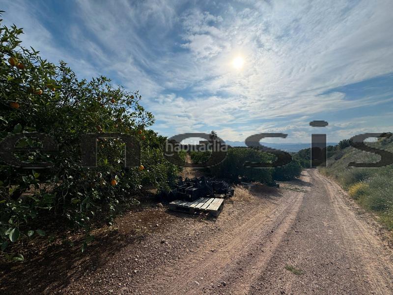 Foto f56d346f-8e97-4003-ac74-701d7c03f77d. Landgut in Albatalia Murcia