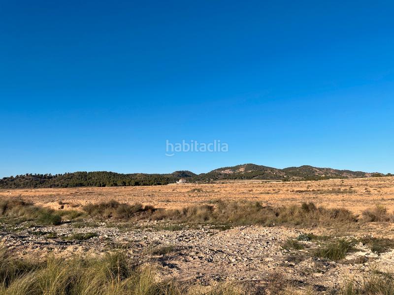Foto d91b76d6-8fd2-4ca0-8f16-d68f71d77c71. Landgut in Los Martínez del Puerto Murcia