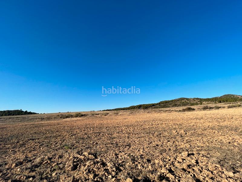 Foto eb732c96-e5f2-4019-8078-80b5cb27d4a9. Landgut in Los Martínez del Puerto Murcia