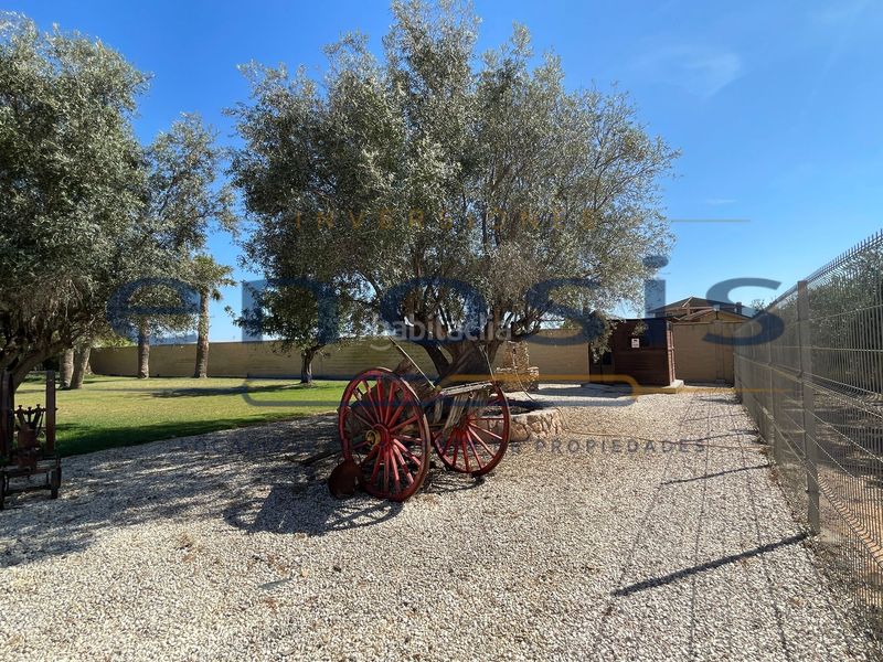 Foto c11a4422-0b52-4342-826f-4c5fe3796c5e. Xalet amb calefacció aparcament piscina a Torre-Pacheco Torre - Pacheco