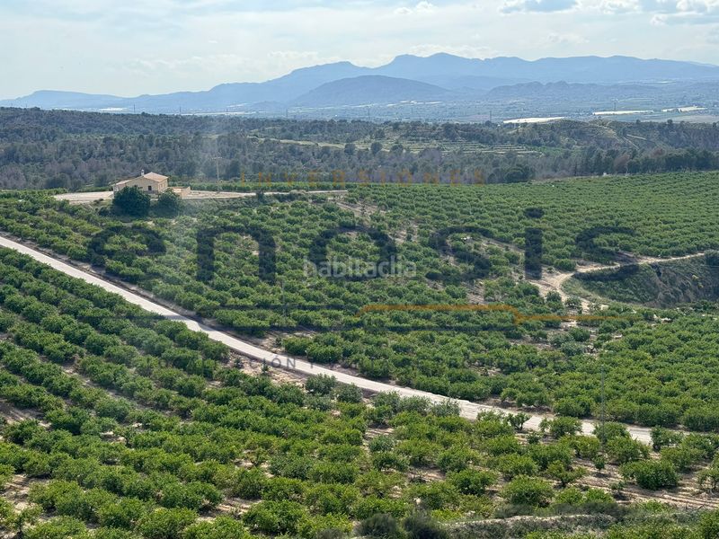 Foto 1a533425-3bc7-4890-bba8-74f62a72ec25. Finca rústica a Sierra de Carrascoy Alhama de Murcia