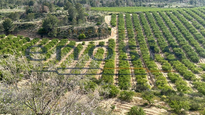 Foto a4525299-f464-4286-8d89-aefdc8eeab51. Finca rústica a Sierra de Carrascoy Alhama de Murcia