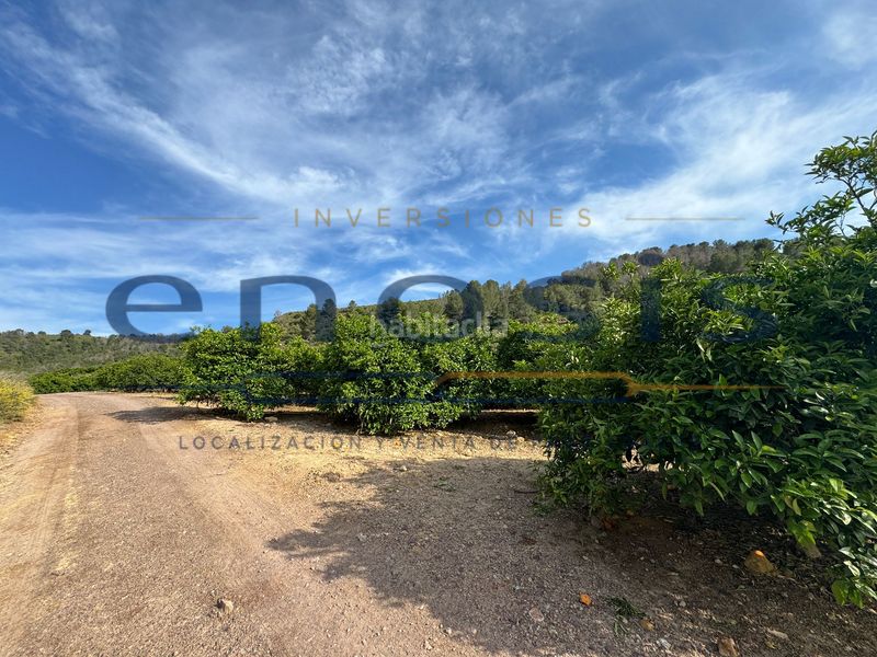 Foto d23abbe8-f549-4604-88d7-fa805dd274e6. Finca rústica a Sierra de Carrascoy Alhama de Murcia
