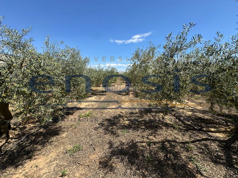 Foto 4436bbb4-c581-405b-8cda-f539d252e509. Masia a Balsicas Torre - Pacheco