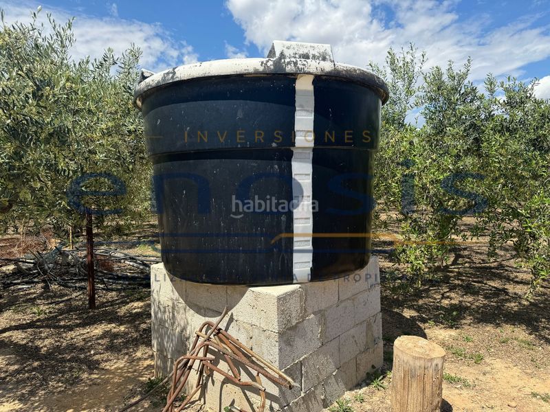 Foto f8901f31-a520-46b4-a324-67d9431b7c2a. Masia a Balsicas Torre - Pacheco