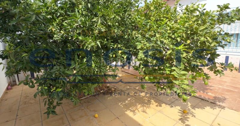 Foto 4b9daa66-d067-45fd-9c06-08b2a8d57a32. Casa a Roldán Torre - Pacheco