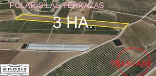 Rural plot in Terrazas de la Torre Golf. Se vende 30.000m2 de terreno rustico de uso agrario