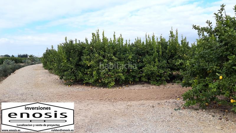Foto 0356a512-c4fe-4649-bdc0-33dbbd0580c9. Landgut in Roldán Torre - Pacheco
