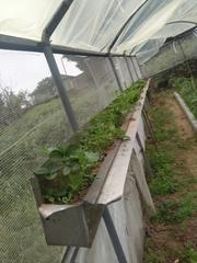 Fondo rustico  Camiño cerqueiro 1. Maravillosa finca en candeán