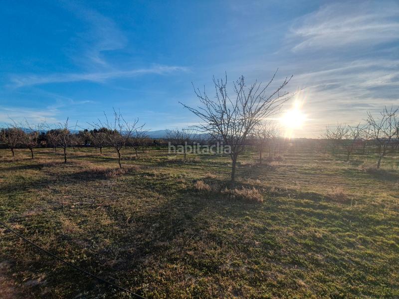 Foto c32b9c1a-f5d7-45e9-96d0-ad06f54799e2. Finca rústica en calle magistral domínguez 6 finca con vistas a sierra nevada en Guadix