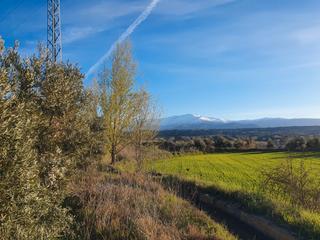 Finca rústica  Camino del vivero. Terreno en balsa chiribaile , con buenas vistas, agua de riego,
