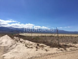 Foto 0ec5b3ad-5f89-4349-b3df-9628d652796a. Finca rústica a carretera murcia 16 a Guadix