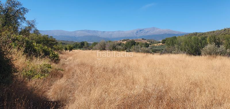 Foto 80a5b596-e7c5-4775-8341-72eadb5900c2. Finca rústica a Valle del Zalabí