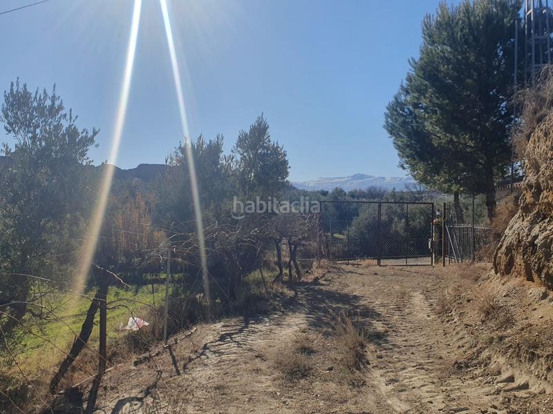 Foto 6c55dbc8-f757-458f-b6b2-283d494efa71. Finca rústica finca en carretera de paulenca en Guadix