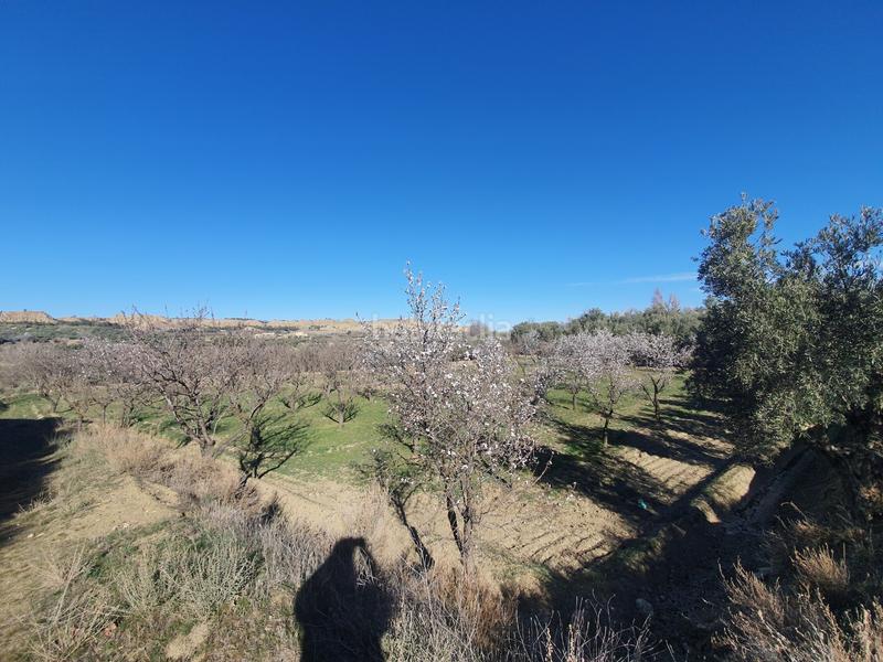 Foto 82f72cd0-8390-4ca2-a14b-060b231c9f01. Finca rústica finca en carretera de paulenca en Guadix
