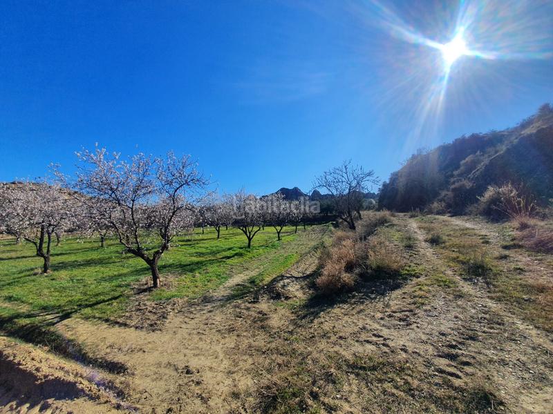 Foto a48f58b8-292f-463a-a9a2-b4aa131a45f0. Finca rústica finca en carretera de paulenca en Guadix