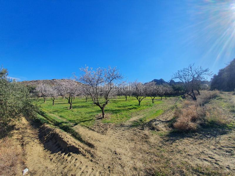 Foto c1703bce-93df-4905-b039-e59883b4d49f. Finca rústica finca en carretera de paulenca en Guadix