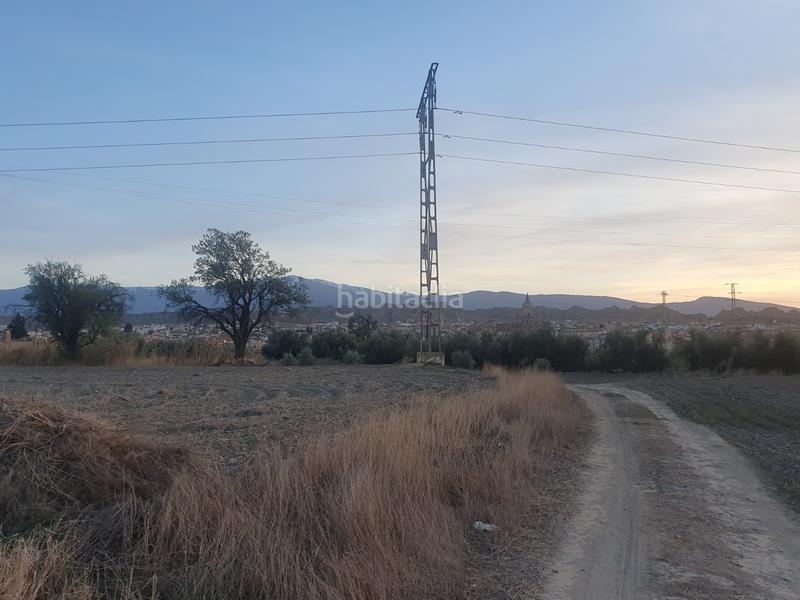 Foto 103095ab-588d-4916-95c4-4d11b78637ac. Fondo rustico in Guadix