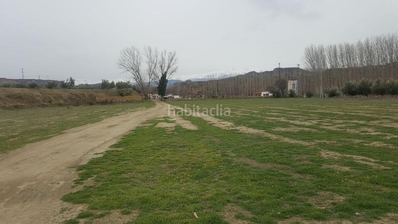 Foto bfaebc42-c0e4-4475-afe0-37977a972ea6. Finca rústica en a-4100 64 finca en Purullena