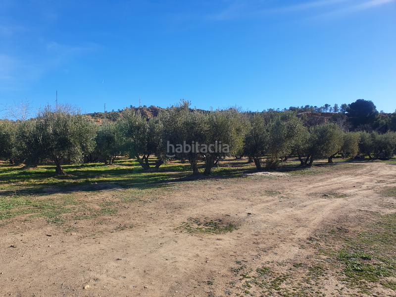Foto 67925476-6646-4f1d-9485-a36ef38cc188. Finca rústica ¡¡espectacular finca para recreo y/ agricola en Guadix