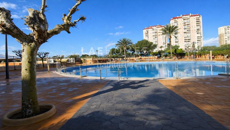 Foto 2eb60422-a094-4f75-a68d-904bc919d5ed. Planta baixa amb aparcament piscina a Playa Muchavista Campello (el)