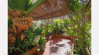 Piso  Carrer om. Coqueto piso con una impresionante terraza en barcelona