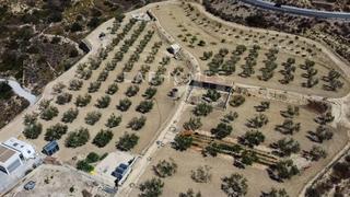 Landgut  Carretera  campello a aigües de busot (cv 775). Parcela rústica lista para construir en el campello, alicante  o