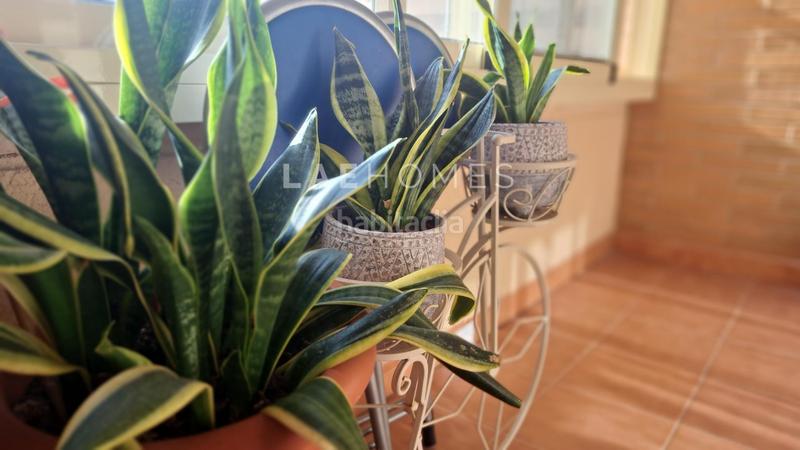 Foto b0ede45f-4c78-40f5-a101-df4c3fa8bbaf. Apartament amb calefacció aparcament a Paus - Polígono San Blas Alicante