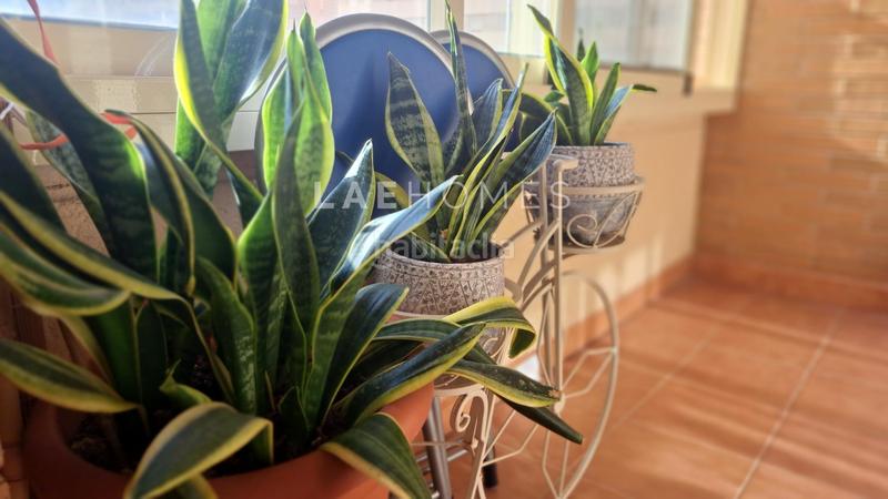 Foto fdd2e6ee-9d38-4a86-bb05-3bf2f43c5fa5. Apartament amb calefacció aparcament a Paus - Polígono San Blas Alicante