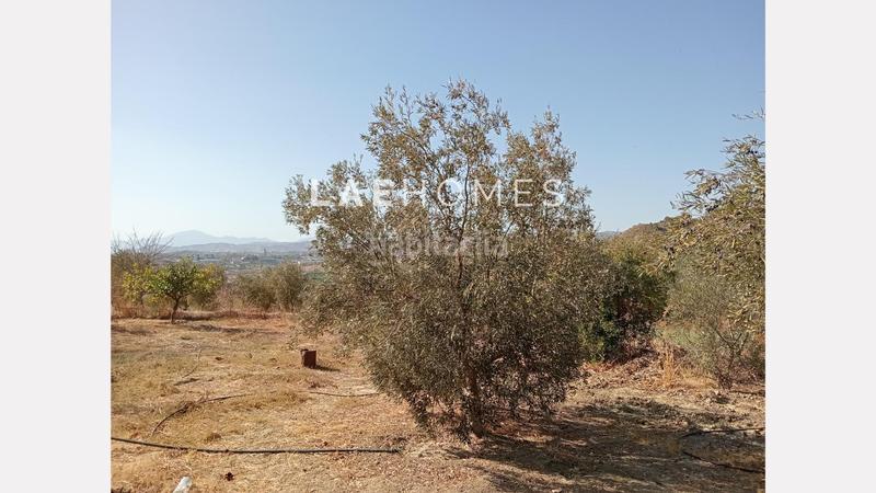 Foto 068673be-5dbc-41d3-b01d-9925c8287790. Terreno residencial solar urbano edificable y parcelas rústicas en venta en colmenarejo en Málaga