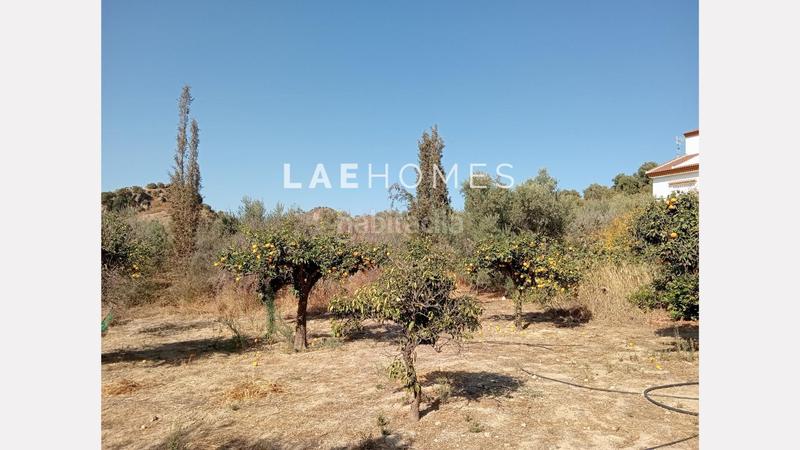 Foto 24ba100a-e16e-4592-85c4-89e4d3ef5775. Terreno residencial solar urbano edificable y parcelas rústicas en venta en colmenarejo en Málaga