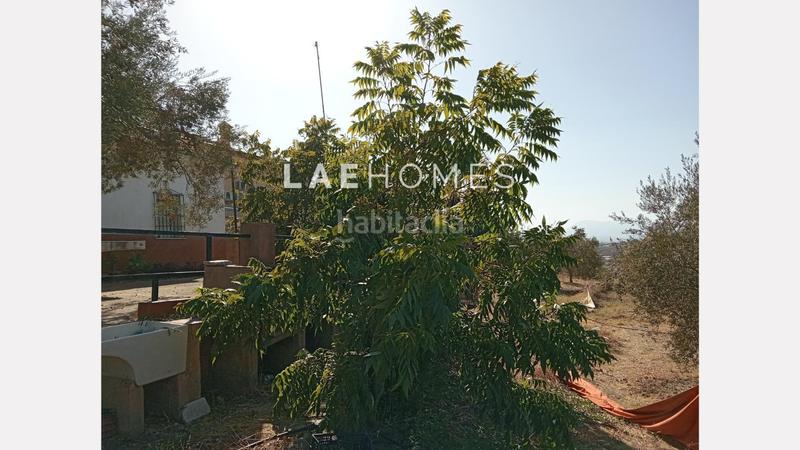 Foto 2de99983-caa0-481c-8979-e797a6e869b0. Terreno residencial solar urbano edificable y parcelas rústicas en venta en colmenarejo en Málaga