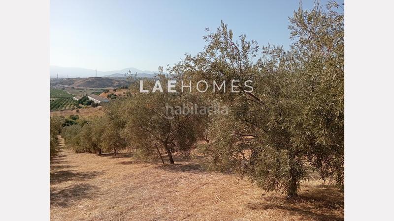Foto 48347727-22d8-4d50-9626-090903f44e6d. Terreno residencial solar urbano edificable y parcelas rústicas en venta en colmenarejo en Málaga