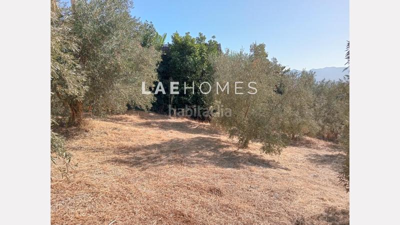 Foto 50128af3-3e82-46cc-bdad-e03e2c4cbd31. Terreno residencial solar urbano edificable y parcelas rústicas en venta en colmenarejo en Málaga