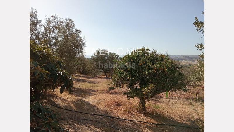 Foto 6a109ec7-8ae1-4743-9bc9-71eedcf7b44c. Terreno residencial solar urbano edificable y parcelas rústicas en venta en colmenarejo en Málaga