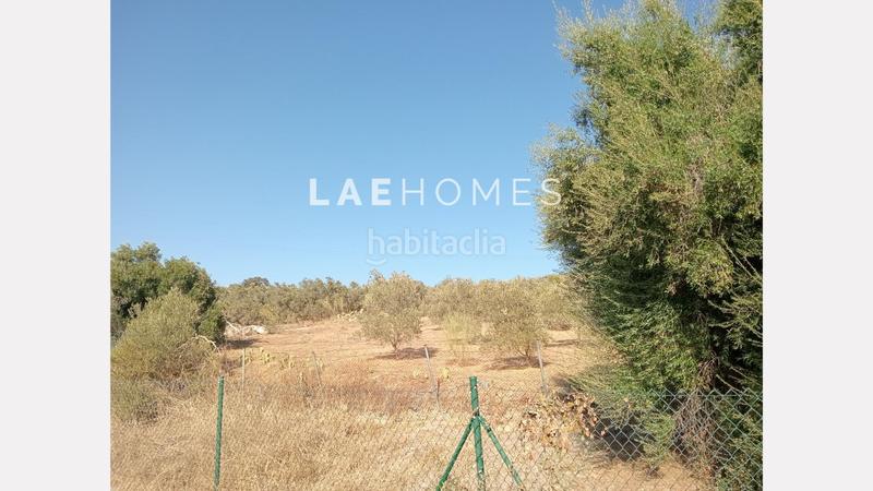 Foto 6ce0610a-c36b-4490-9db7-73b10d0eff88. Terreno residencial solar urbano edificable y parcelas rústicas en venta en colmenarejo en Málaga