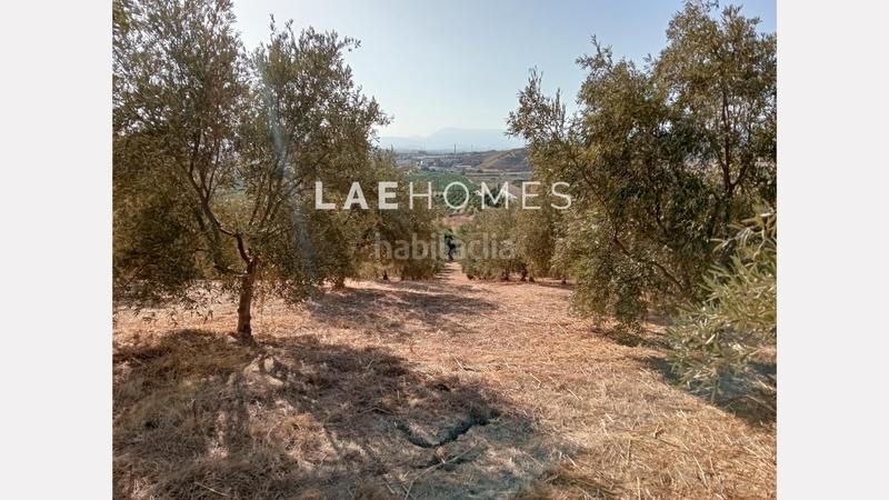 Foto 6ea9ef1e-e471-401e-a530-fef8e2bf944e. Terreno residencial solar urbano edificable y parcelas rústicas en venta en colmenarejo en Málaga