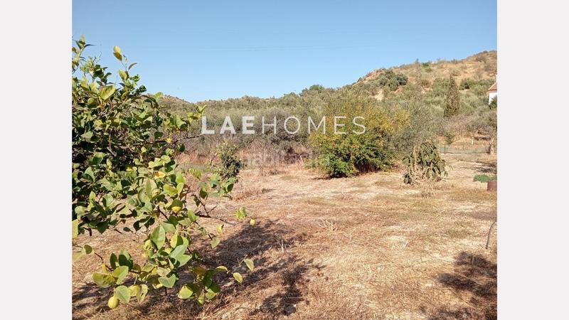 Foto 8900f05a-1d11-45f4-b6e4-aae8f3de32fc. Terreno residencial solar urbano edificable y parcelas rústicas en venta en colmenarejo en Málaga